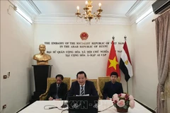 Webinar on President Ho Chi Minh held in Egypt