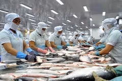 Seafood exporters advised to keep close watch on market development