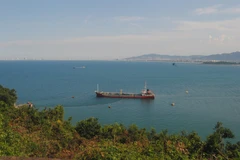 Da Nang, JICA to survey Lien Chieu Port development