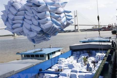 German media laud opportunities from EVFTA 