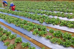 Vietnam responds to 2020 World Tourism Day