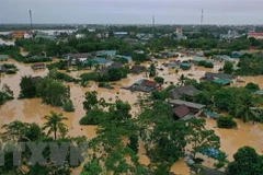 Central provinces receive seeds to restart farming after floods