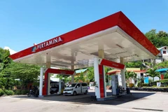 Indonesia to cut diesel subsidy by half next year 