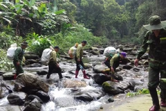 Taskforce in national park rescues hundreds of trapped animals