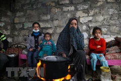 Top leader sends congratulations on UN International Day of Solidarity with the Palestinian People