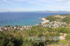 Int’l bidding to be invited for power supply by submarine cables in Binh Dinh 