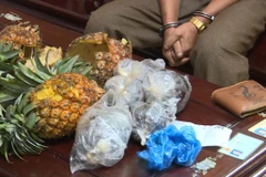 Drug trafficker caught in Dak Lak