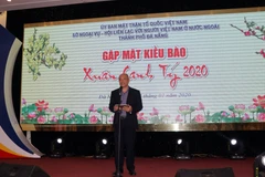 Da Nang welcomes overseas Vietnamese home for Tet