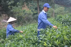Cooperatives’ workers need better skills: forum