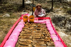 Quang Tri: 150 UXO pieces defused