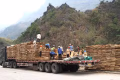COVID-19: First batch of exports cleared at Thanh Thuy int’l border gate 