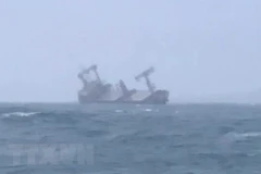 10 sailors on sunken Panamanian ship off Binh Thuan waters found