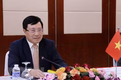 ASEAN foreign ministers talk COVID-19 fight