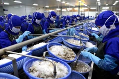 Bright prospects for fisheries sector in final quarter