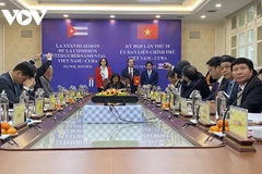 Vietnam, Cuba seek ways to raise trade to 500 million USD