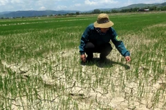 North-central region seeks solutions to drought, saline water intrusion