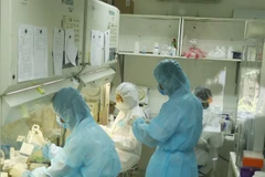 Three relapse COVID-19 cases reported in HCM City