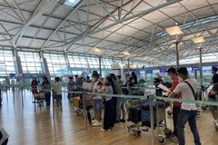More than 250 Vietnamese citizens brought home from RoK 