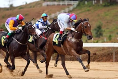 Vietnam should develop gambling industry to boost tourism