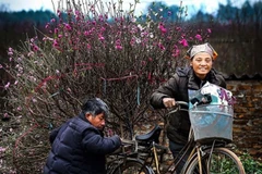 Competition seeks best photos of Hanoi