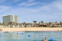 Dolphin stuns beachgoers at Cam Ranh Bay