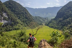 Vietnam Jungle Marathon returns