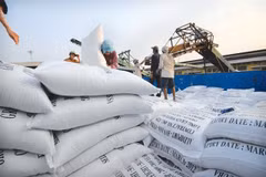 Rice export price lowest in two months