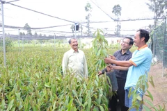 Country’s largest seedling producer focuses on quality