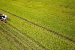 Vietnam’s agriculture to be world’s top 15 most developed