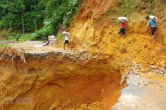 Downpour-triggered landslide kills one in Lai Chau