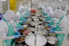 Kien Giang posts good increase in four-month exports earnings