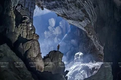 New untouched caves discovered in Quang Binh province