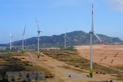Vietnam, Sweden discuss clean energy development