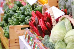 Hanoi’s CPI rises 5.23 percent in Q1