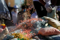 Cambodia posts lower number of drug-related offences