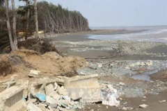 Tra Vinh builds embankment to prevent coastal erosion