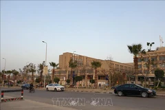 Vietnamese in Egypt stay united amid COVID-19 pandemic: ambassador 