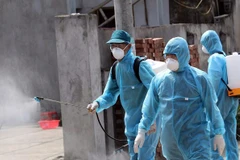 Disinfectant allocated from reserves to Quang Nam, Health Ministry