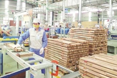Wood processing to become spearhead economic sector by 2025