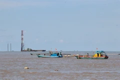 Ca Mau aims to become energy centre of Mekong Delta by 2030