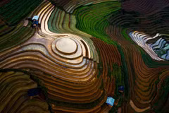 Yen Bai set to kick off month-long tourism festival