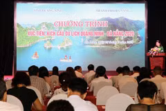 Da Nang shakes hands with Quang Ninh in tourism promotion