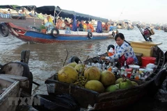Can Tho working to revive tourism