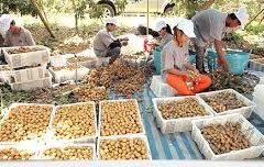 Thailand promotes marketing-led production strategy 