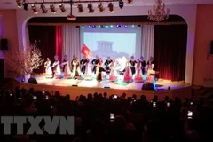 Vietnamese people abroad gather for Tet