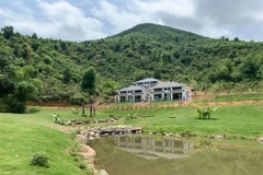 Agricultural land price increases during COVID-19