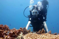 Vietnam boasts diversified marine resources