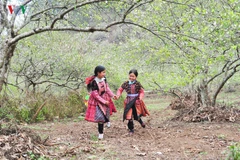 H’Mong ethnic people to join nation in celebrating Tet