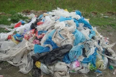 Plastic bags in traditional markets challenge environment