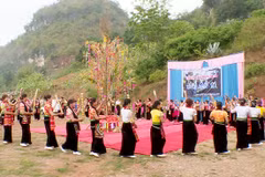 Thai ethnic rain festival prays for bumper crops